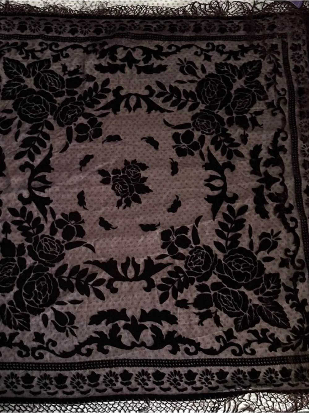 Mary Green | Burnout Velvet Sheer Scarf / Shawl / Wrap in Chocolate Brown ♥ NWT